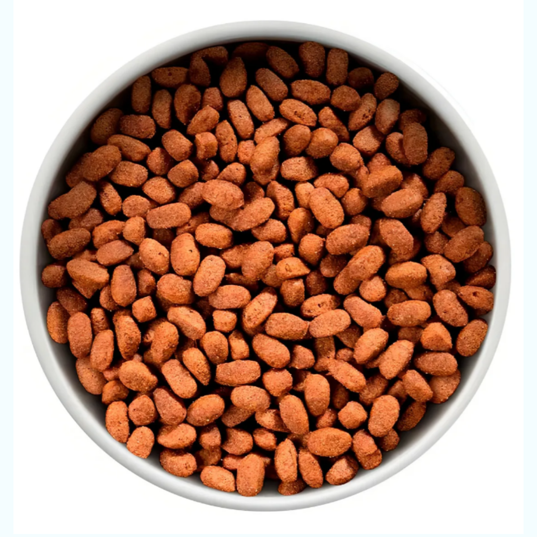 Alimento Cooperación para cão adulto de raza todos os tamanhos sabor cordeiro e aveia de 10.1 kg - Imagem 2